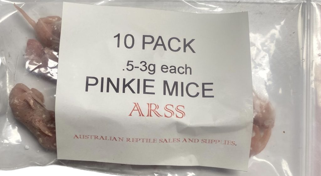 10 PACK PINKIE MICEPICKUP ONLY Australian Reptile Sales and Supplies