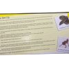 REPTILE ONE STARTER KIT - Image 4