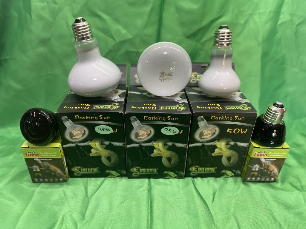 SUPER REPTILE BASKING LIGHT 50W x 4pck – Shakirikki Reptiles & Lexson
