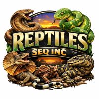 Reptiles SEQ INC snakes and lizards south east queensland